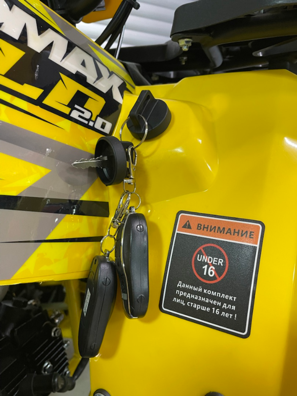 Квадроцикл PROMAX WILD 2.0 190 PRO (2025)