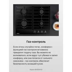 Газовая панель Hansa BHGS650103