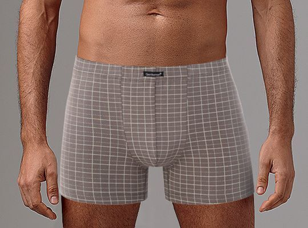 Клетчатые мужские боксеры (Размер: L) (Цвет: бежевый)