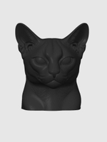 Абиссинская кошка