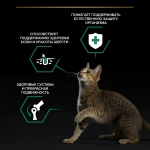 Говядина в соусе, 85г влажный корм для взрослых кошек ProPlan