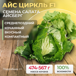 АЙС ЦИРКЛЬ семена салата (Syngenta | Alexagro)