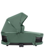 Коляска 2 в 1 Carrello Omega+ CRL-6540/1