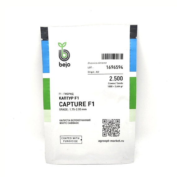 Каптур F1 семена капусты белокочанной (Bejo / Бейо) – фото 4