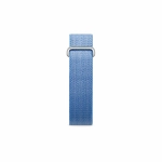 Google Fitbit Air