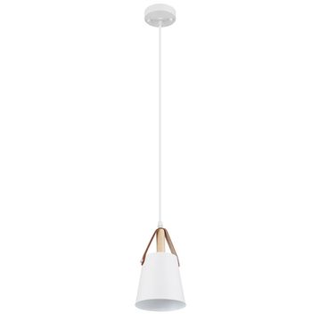 Подвесной светильник 1*Е27 A7032SP-1WH белый Thomas Arte Lamp
