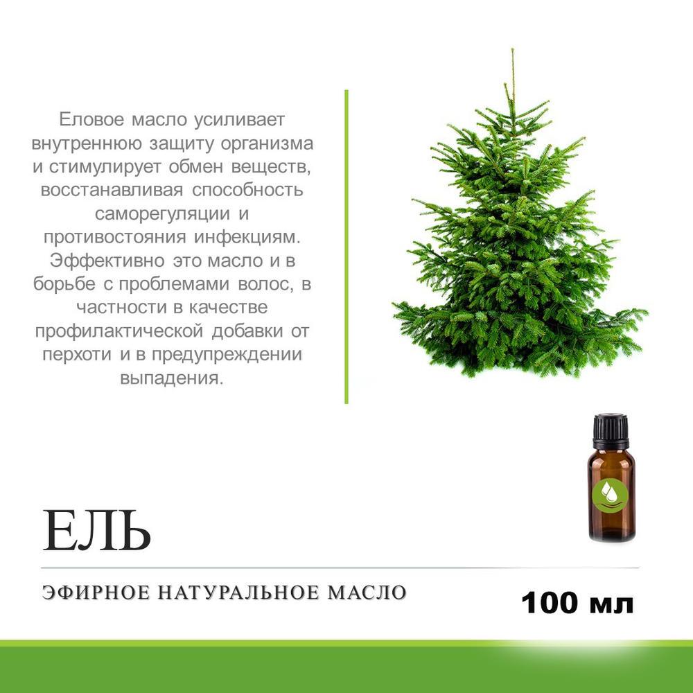 Эфирное масло Ели / Picea Abies Leaf Oil