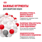 Royal Canin Siberian Adult Корм сухой для взрослых кошек породы Сибирская 0,4 кг