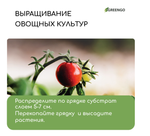 Субстрат кокосовый, универсальный, для террариумов и растений, в брикете