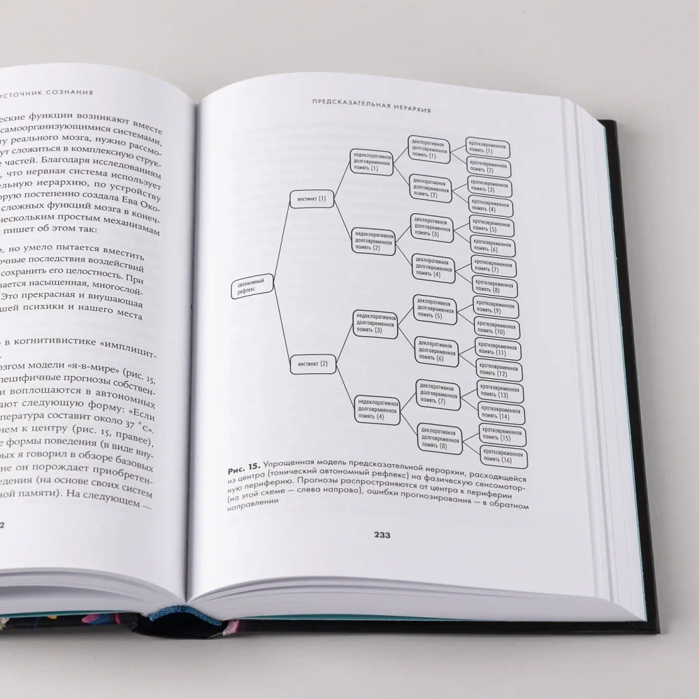 Скрытый источник сознания