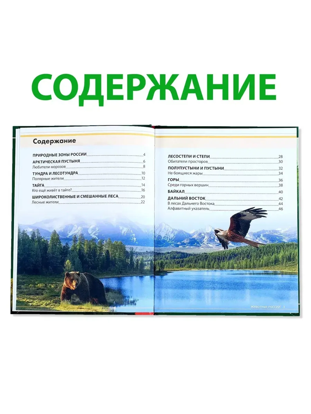 Детская энциклопедия Животные России