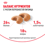 Royal Canin French Bulldog Adult (Французский Бульдог Эдалт) Корм сухой для собак от 12 месяцев породы Французский Бульдог 9кг