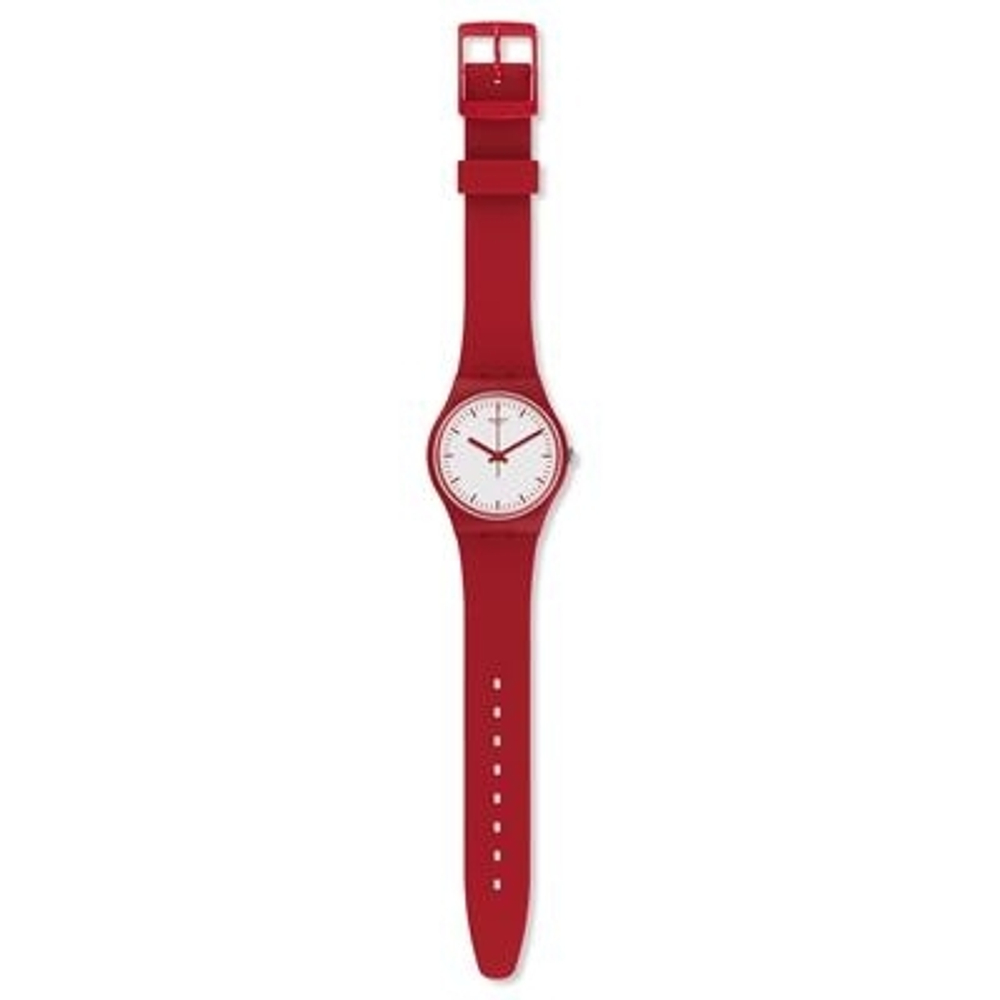 Swatch GR172
