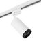 Комплект с трековым светильником Lightstar Rullo (214436+592056+203437) R1T4363437