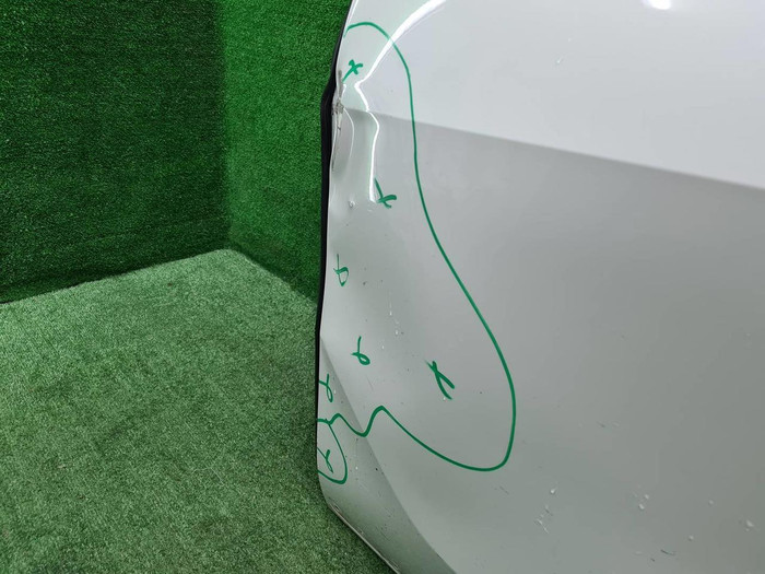 Дверь передняя левая BMW X7 G07 (2019-н.в.)