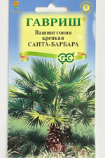 Вашингтония Санта-Барбара 3 шт СМЦ-935