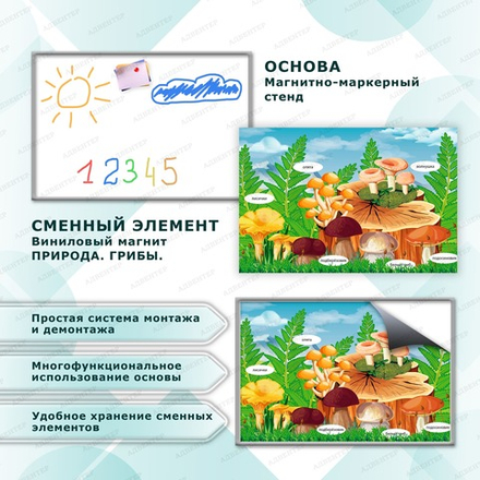 Комплект развивающий ПРИРОДА. ГРИБЫ. 2167