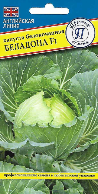 Капуста