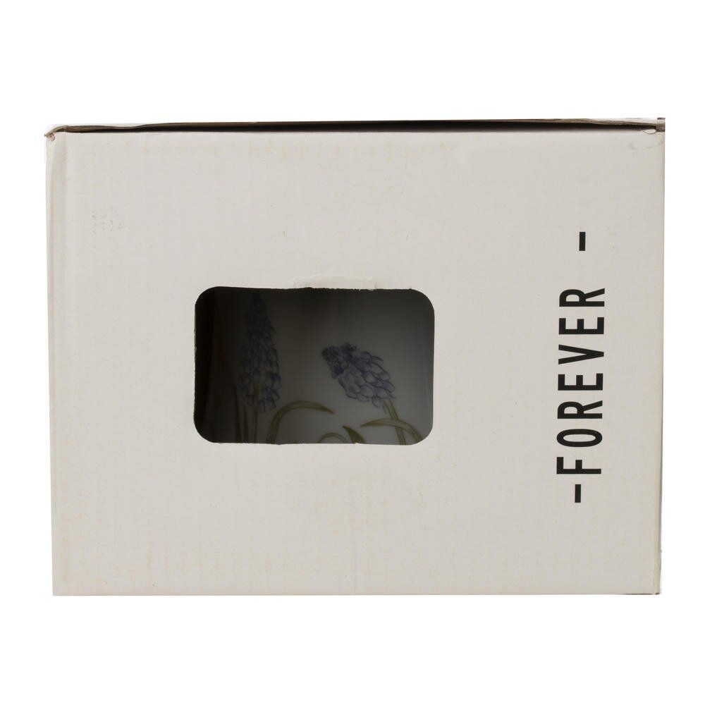 GAEM Чашка с блюдцем, 220 мл, L15,5 W15 H9 см