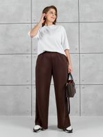 Брюки Авенсис-2 Виотекс КОРИЧНЕВЫЙ