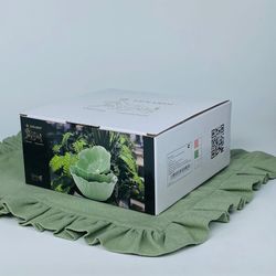 Lenardi 232-037 Набор из 3 салатников 21/16см КАПУСТА в под.уп.(х8)Фарфор