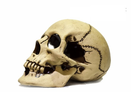 АКВА ЛОГО Декорация керамическая "Череп большой", 22*14*15 см