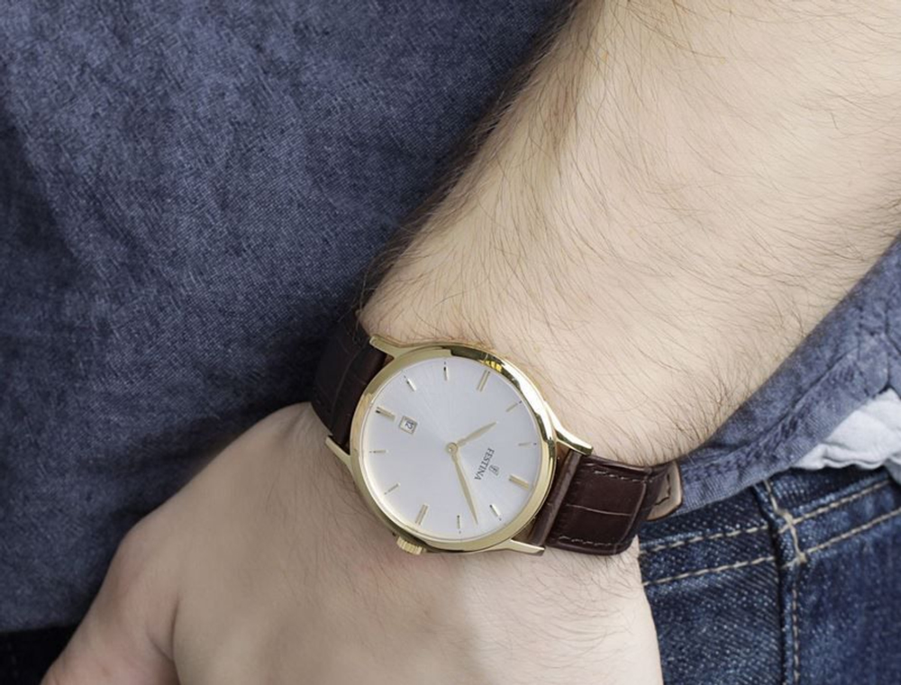 Мужские наручные часы Festina F16747/1