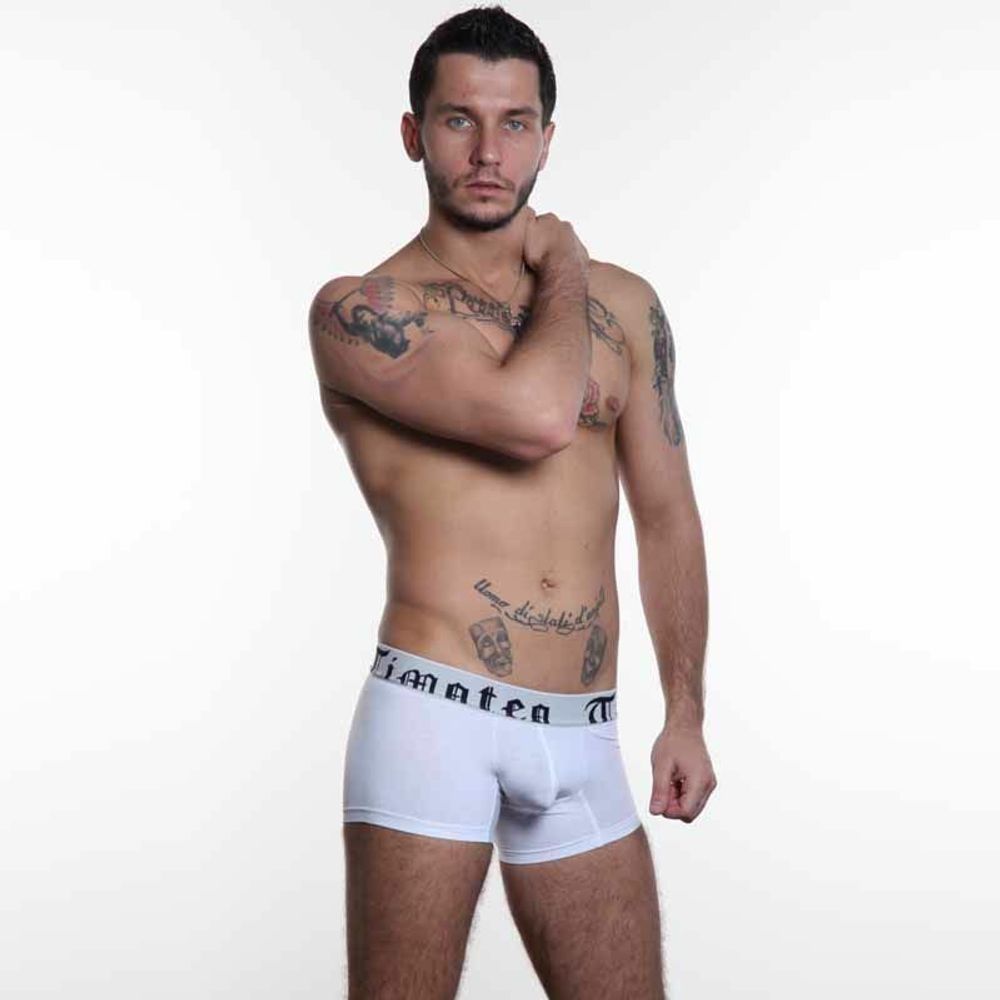 Мужские трусы хипсы Timoteo Classic Trunk White