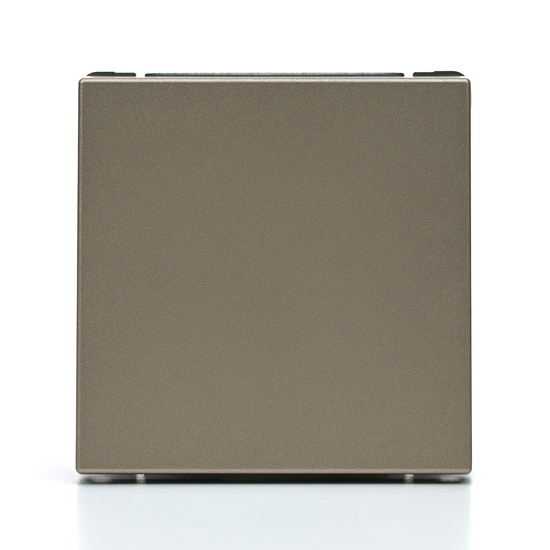 Выключатель кнопочный 1-кл. ArtGallery 10А механизм шампань SE GAL000515