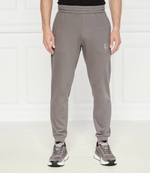 Спортивные штаны EA7 - пепельный(6DPP59 PJSHZ)