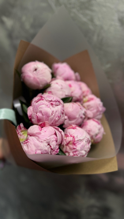 Пионы 15 шт