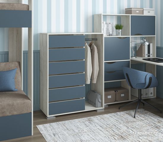 сосна винтерберг / маренго