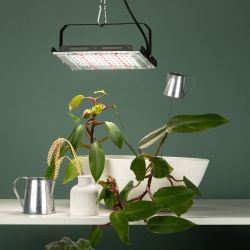 Фитопрожектор для растений светодиодный ЭРА FITO-80W-Ra90-LED-Y полного спектра | Фито прожекторы