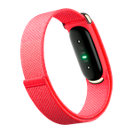 Фитнес-браслет Google Fitbit Air