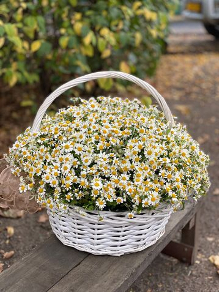 Корзина "В ромашковом поле"