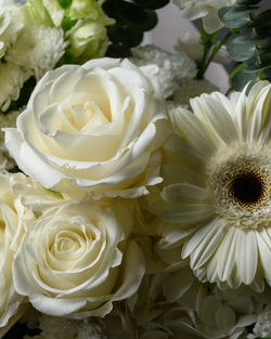 Сахарная вата *