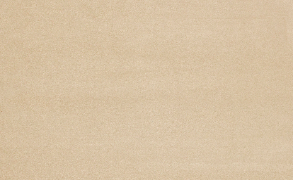 Велюр Гран При 08