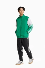 Кофта adidas Squadra 25 Presentation - зеленый