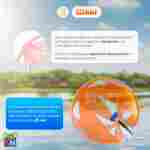 Аттракцион Водный шар ПВХ «Солнечный луч» 2*2*2 м