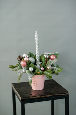 Новогодняя композиция из нобилиса 7