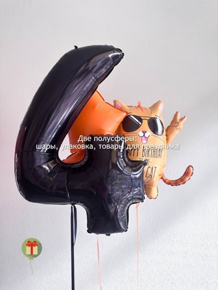 Набор шаров Котяра