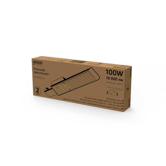 Уличный светодиодный консольный светильник Gauss Avenue 629534100