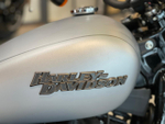 Harley-Davidoson® Softail® Street Bob® MY2020