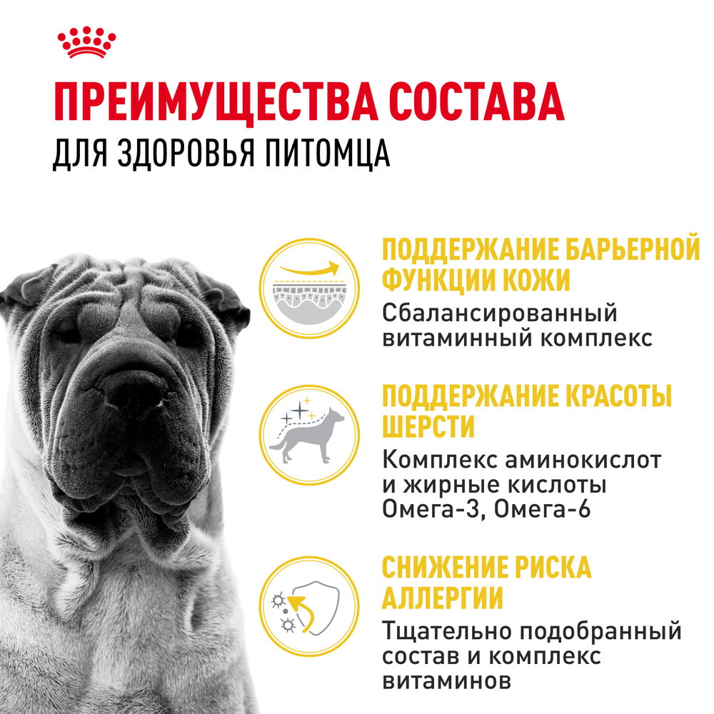 Royal Canin Medium Dermacomfort Корм сухой для взрослых собак средних размеров при раздражениях и зуде кожи - 10 кг