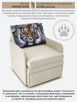 Кресло-кровать "Миник" с подлокотниками Dream Bone купон Тигр