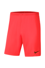 Шорты Nike Dry Park III