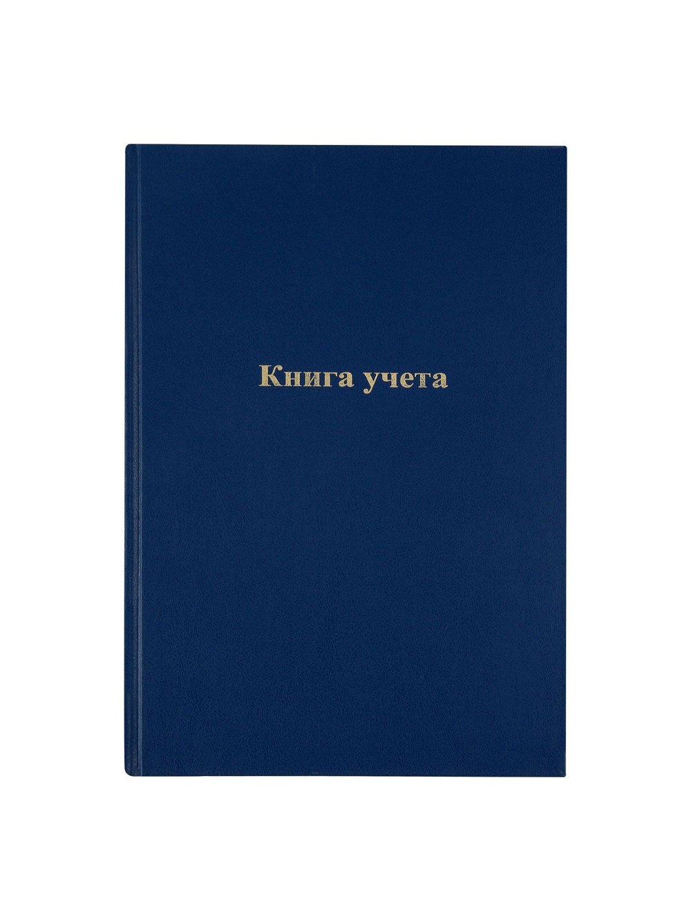 Книга учета А4 96 листов клетка газетный бумвинил синий