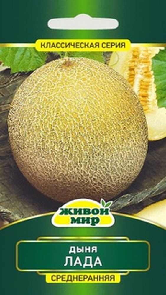 Дыня &quot;ЖМ. Лaдa&quot; 1г., Россия.