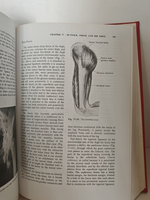 Textbook of Anatomy by W. Henry Hollinshead