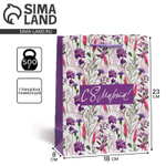 Пакет ламинированный Only for you, MS 18 х 23 х 8 см 9933750